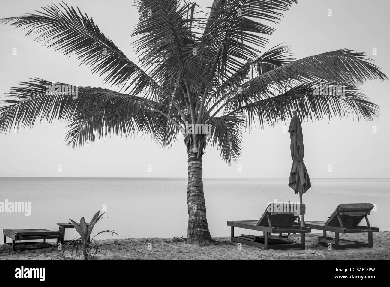 Strand mit Palmen und reservierten Liegestühlen vor Sonnenaufgang, Koh Chang, Andamanensee, Südthailand, Thailand, Asien Stockfoto