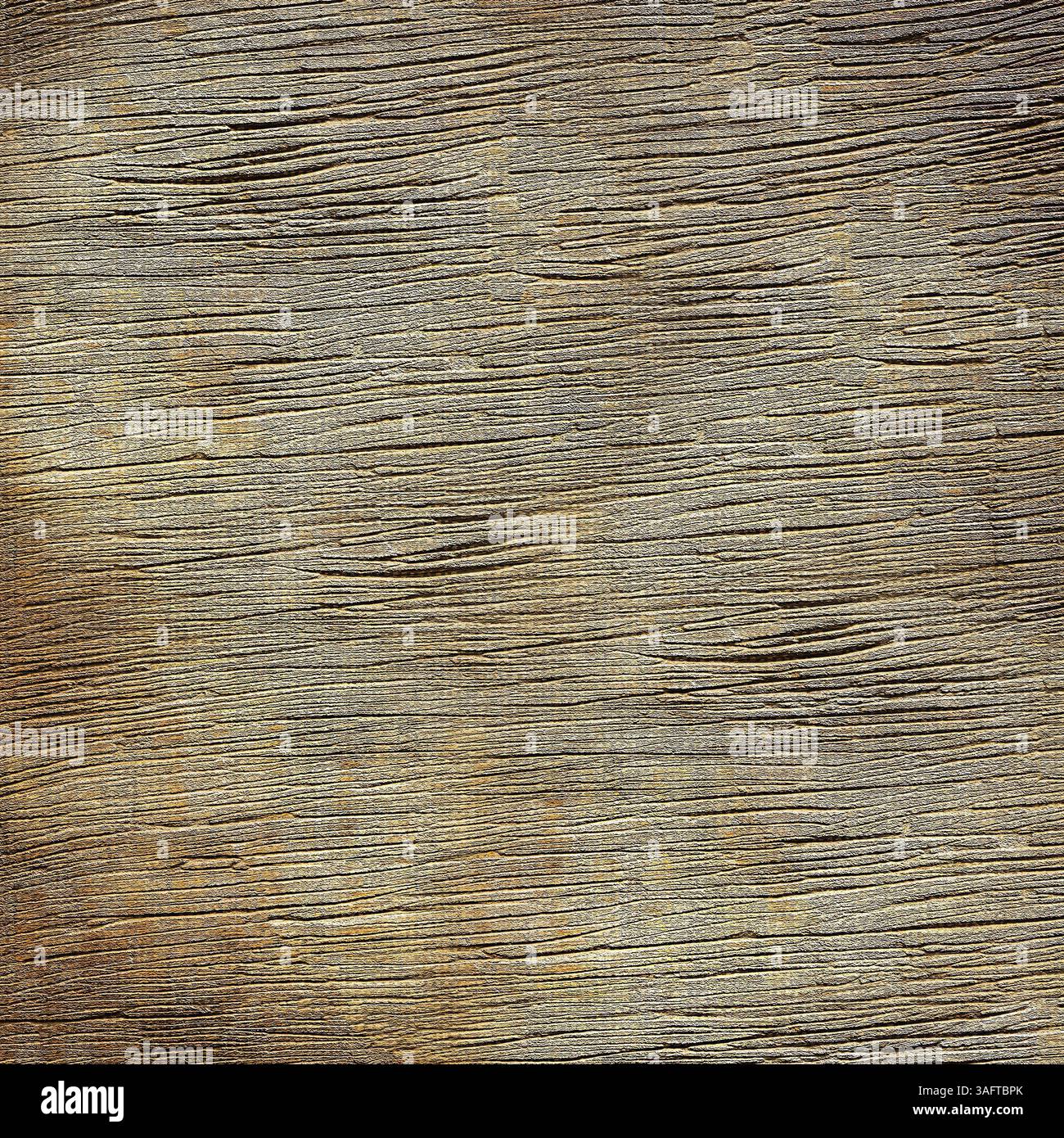 Die strukturierte Oberfläche aus verwittertem Holz erzeugt einen rustikalen, natürlichen Hintergrund. Weißrussland Stockfoto