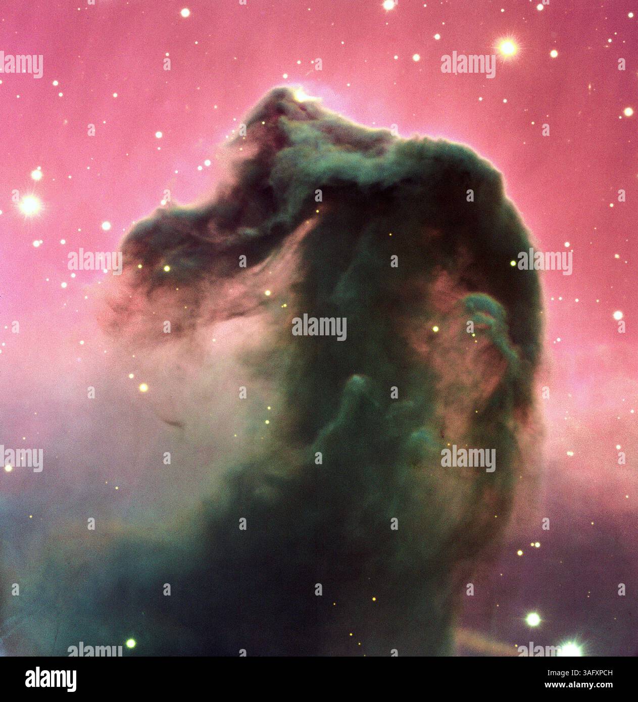 1. Februar 2000 - Horsehead-Nebula, Orion Konstellation - der Horsehead-Nebula (auch Barnard 33 in Emission Nebula IC 434 genannt) ist ein dunkler Nebel im Sternbild Orion. Der Nebel befindet sich südlich des Sterns Alnitak, der am weitesten östlich auf dem Orion-Gürtel liegt, und ist Teil des viel größeren Orion Molecular Cloud Complex. Der Nebel wurde erstmals 1888 von Williamina Fleming auf einer fotografischen Platte B2312 aufgenommen, die am Harvard College Observatory aufgenommen wurde. Der Pferdekopfnebel ist etwa 1500 Lichtjahre von der Erde entfernt. (Bild: © ESO/ZUMAPRESS.com) Stockfoto