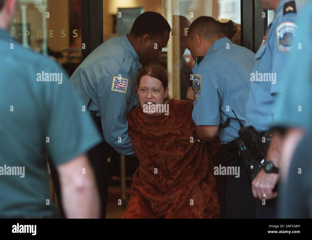 Der PETA-Demonstrant Jen Bizon wird von der Polizei in Washington verhaftet, nachdem sie sich als Kuh verkleidet und sich mit Handschellen an den Eingang des Express-Stores an der 1130 Connecticut Avenue, N.W. Bizon gegen den Verkauf von Lederprodukten durch Express protestierte. (Bild: Washington Times/ZUMAPRESS.com) Stockfoto