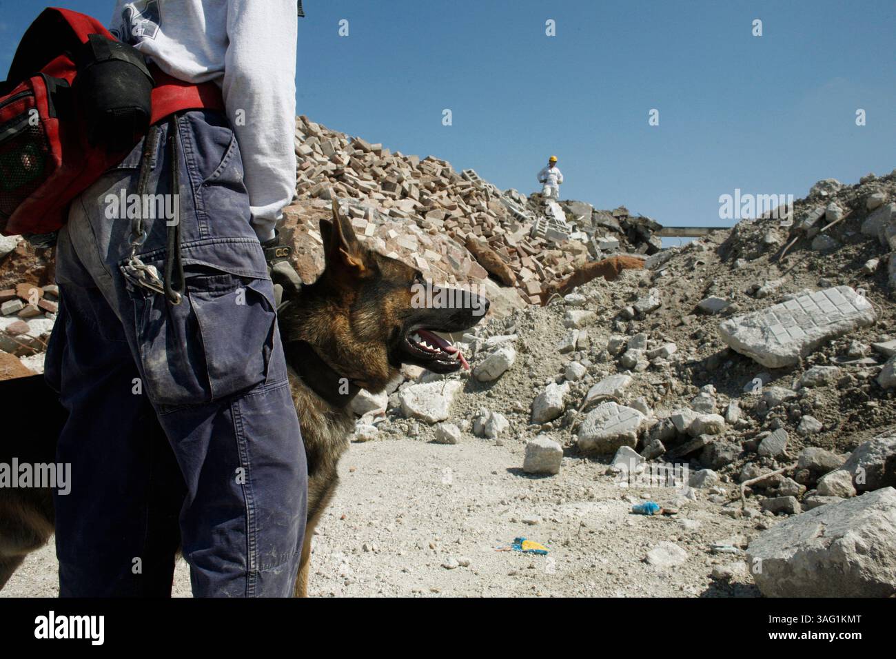 BILDUNTERSCHRIFT: (18.08.2007, Dade City) Foto #1.Kathy McKienzie (cq), 32, von Dade City lässt Brando, 16 Monate alt, am Samstagmorgen auf einem Betonhaufen in einer Recyclinganlage in Lakeland frei. Sie und andere USAR-Handler reisen durch den Bundesstaat und die Region, um geeignete Ausbildungsstätten zu finden, die die Trümmer einer Katastrophe nachahmen. Dann verstecken sie eine Person in den Trümmern und trainieren die Hunde, die Person zu suchen und zu alarmieren. Die zivile USAR Hundetraining für Orlando ist eine ehrenamtliche Tätigkeit, wobei die meisten Kosten für Reisen und Training zu Lasten der Hundeführer gehen... (DAVID DEGNER | Times) Stockfoto