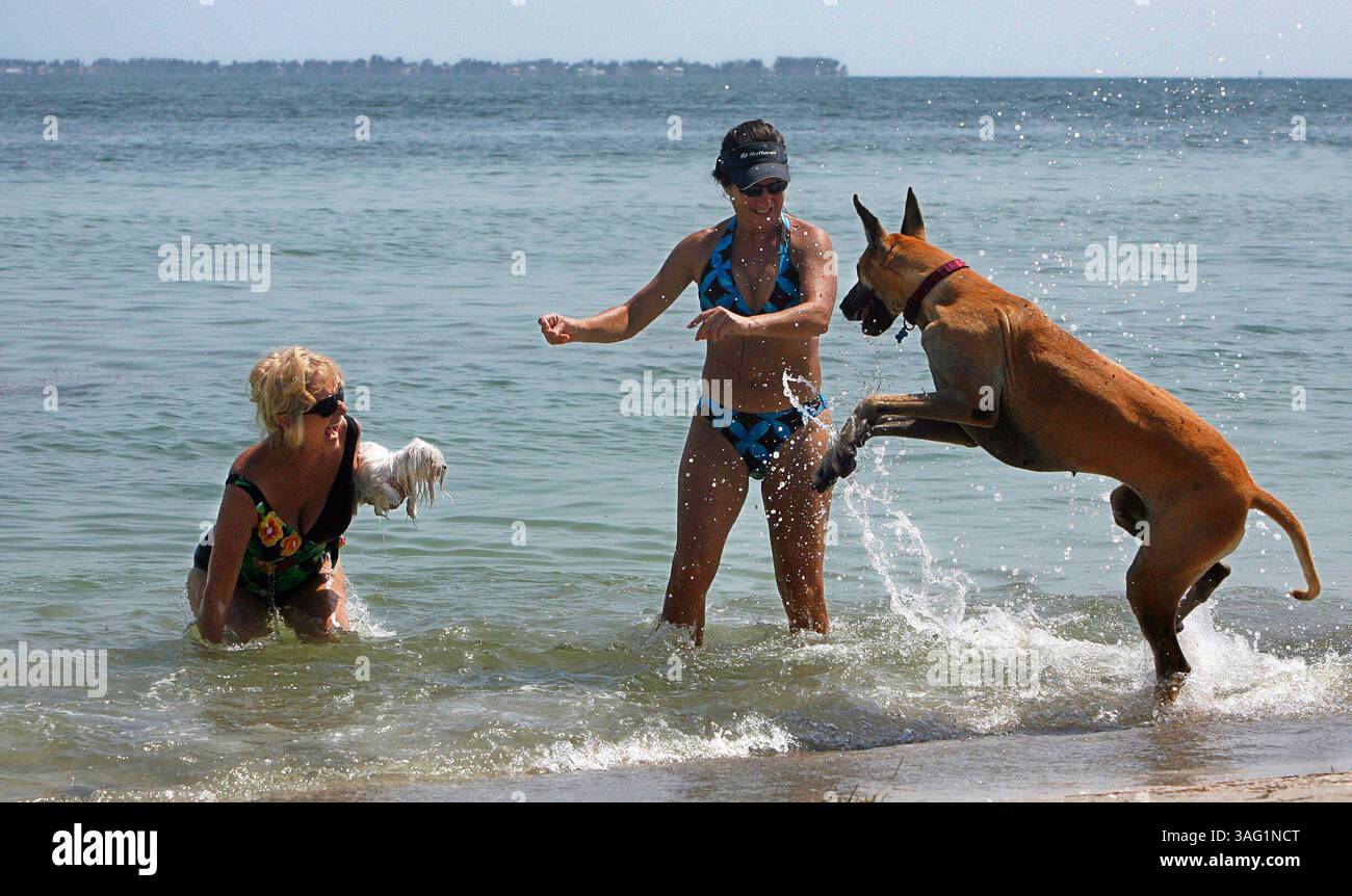 ZUSAMMENFASSUNG DER GESCHICHTE: 27/2007 ES GIBT KEINE ROTE FLUT 1. Von links nach rechts: Friends Ellen Hamilton, (CQ), 62, und Gail Kay, (Bild: St. Petersburg Times/ZUMAPRESS.com) Stockfoto