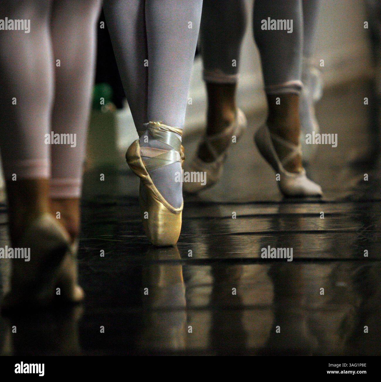 BILDUNTERSCHRIFT: (St. Petersburg 21.09.07) Junge lokale Balletttänzer stehen en pointe während eines One-Night-Kurses mit der Moskauer Ballettballerina Oxana Gasnikova im St. Petersburg Shuffleboard Club Complex am Mirror Lake Drive am Freitag Abend, 21. September 2007. Gasnikova war in St. Petersburg, um junge lokale Tänzer für die diesjährige Show des russischen Nussknacker in Moskau vorzuspielen. Die Vorstellung findet am 21. Und 22. Dezember im Mahaffey Theater statt. Weitere Informationen finden Sie unter www.nutcracker.com..STORY ZUSAMMENFASSUNG: Oxana Gasnikova, vom Moskauer Ballett, wird eine Meisterballettklasse unterrichten Stockfoto