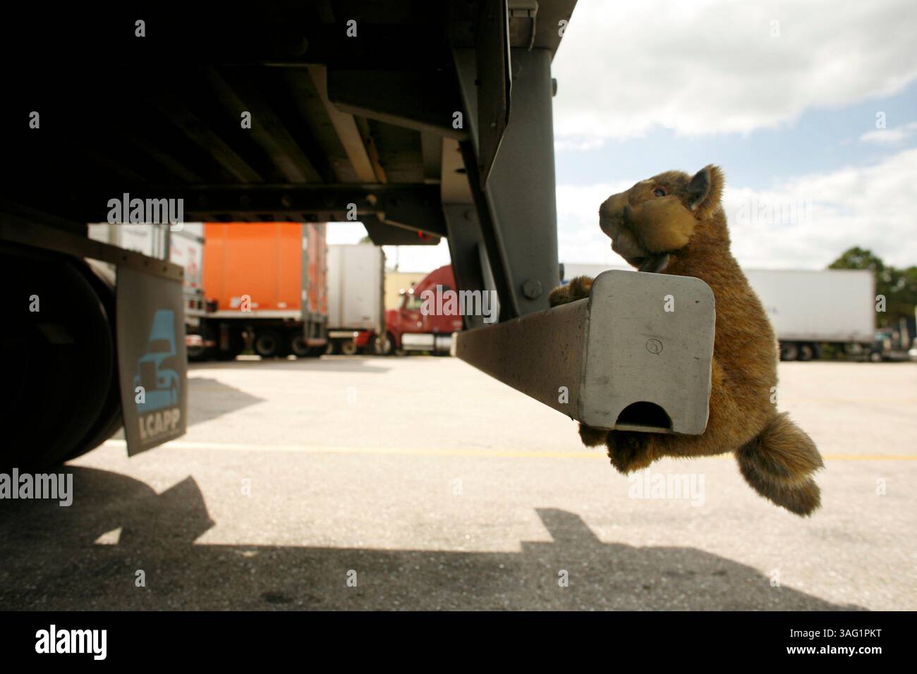 BILDUNTERSCHRIFT: (09.01.2007, San Antonio). Ein gefülltes Eichhörnchen hängt auf der Rückseite von Darrin Raybourns Bohrfahrzeug (41), als er am Flying J in San Antonio Halt macht. Außerdem hat er eine Katze, einen Fuchs und eine übergroße Ratte am Grill seines Trucks befestigt. Die Dekoration zieht mit Absicht Aufmerksamkeit auf sich, genau wie das Chrom oder die Lichter, die andere Lkw-Fahrer aufsetzten: „Sie wären überrascht, wie die Leute den 75 Fuß 80.000lb-Lkw manchmal erst sehen können, wenn sie ihn treffen.“ Raybourn sagt auch, dass sie die Wagenmeister manchmal so ablenken, dass sie vergessen, sein Gewicht zu betrachten, während er vorbeifliegt... (Kreditbild: St. Petersburg Stockfoto