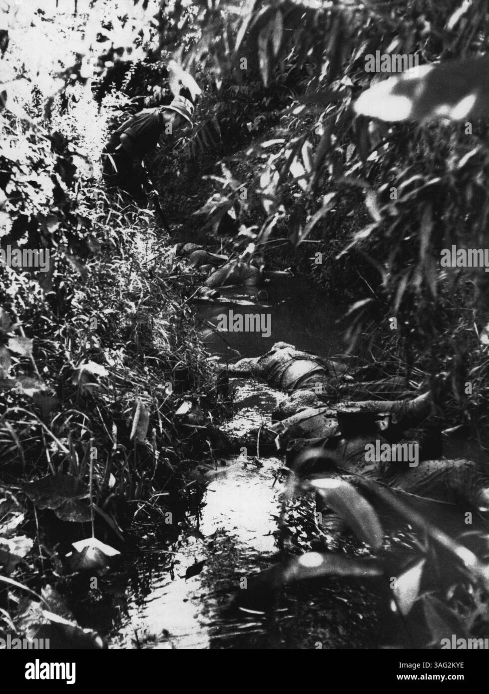 Tod in Arakan Chaung -- eine Mörserbombe fiel hier im Arakan-Dschungel, aber sie tötete vier Japaner. Ein britischer Soldat überprüft sorgfältig, ob ein lebendiger Feind in der Nähe des Flusses lauert. 30. Januar 1945. (Foto: Britischer Beamter). Stockfoto