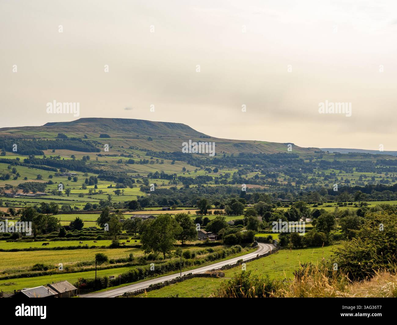 Blick über die Yorkshire Dales in Richtung der Höhe von Hazely, gesehen vom Shawl in Leyburn, an einem trüben Sommertag. Stockfoto