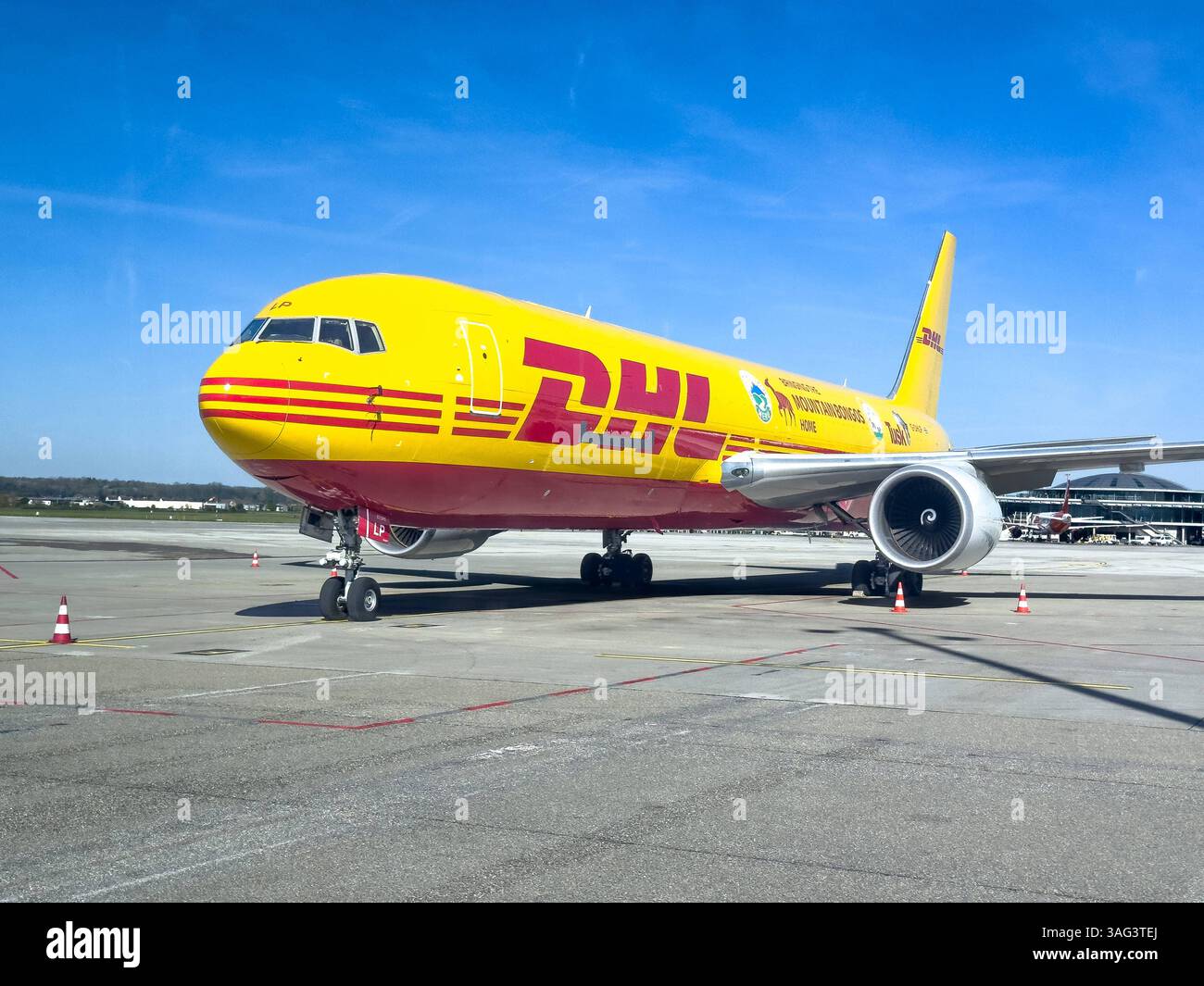 DHL Frachtflugzeug auf dem Rollfeld in Basel, Schweiz, Europa, DHL Boeing 777F mit markanter gelb-roter Lackierung am Flughafen Basel. Internationale Logistik, globaler Luftfrachtverkehr, Versandhandel, Expressdienstleister, DHL Express, Frachter, Frachtflugzeug, moderne Lieferkette, Worldtourcross Home. *** DHL Frachtflugzeug auf dem Asphalt in Basel, Schweiz, Europa, DHL Boeing 777F mit auffälliger gelb-roter Lackierung am Flughafen Basel Internationale Logistik, globale Luftfracht, Versandhandel, Express Service Provider, DHL Express, Frachter, Frachtflugzeug, moderne Lieferkette, Worldtourcross Home Stockfoto