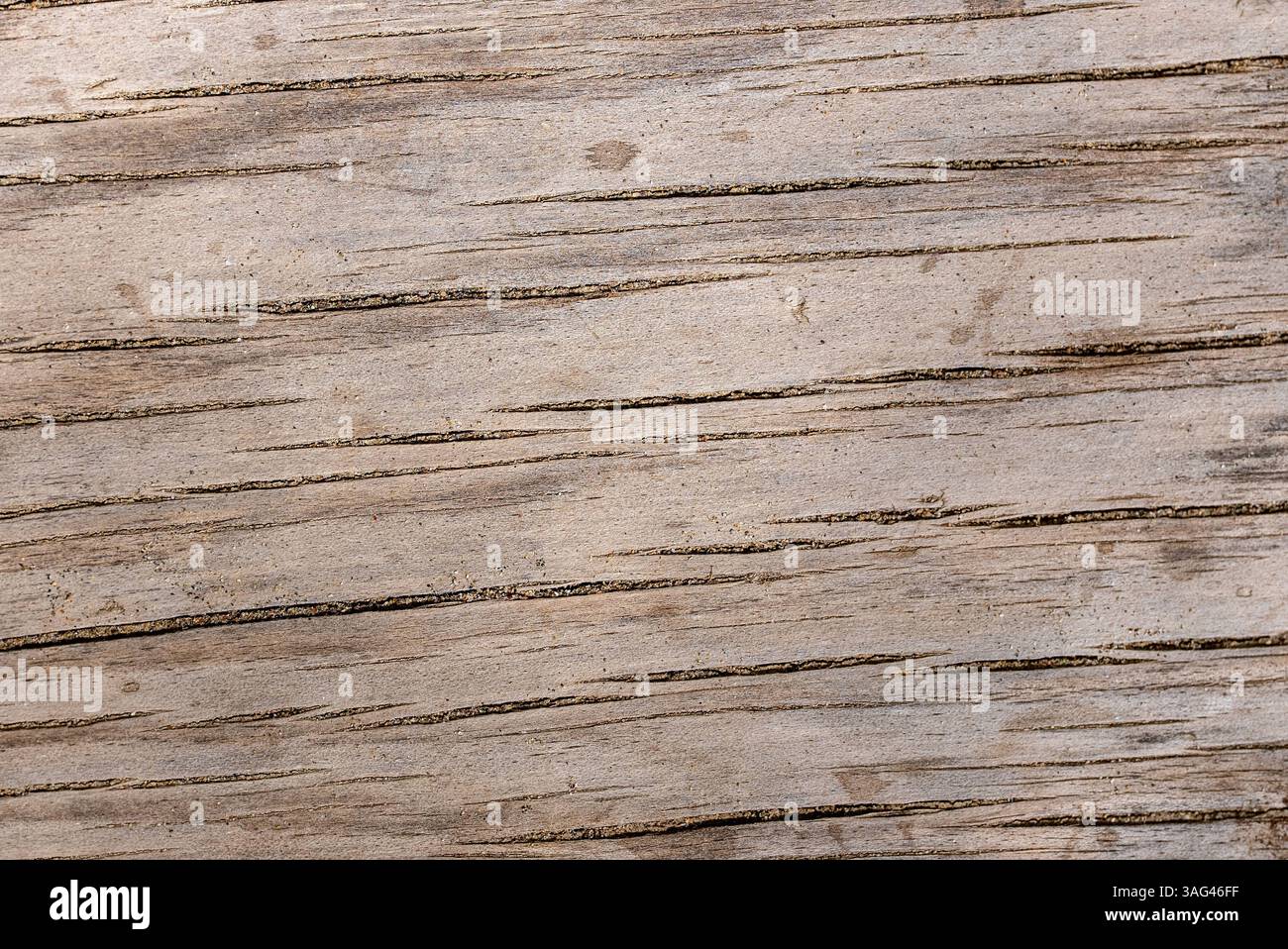 Strukturierter Hintergrund aus naturbraunem Holz. Hochwertige Fotos Stockfoto