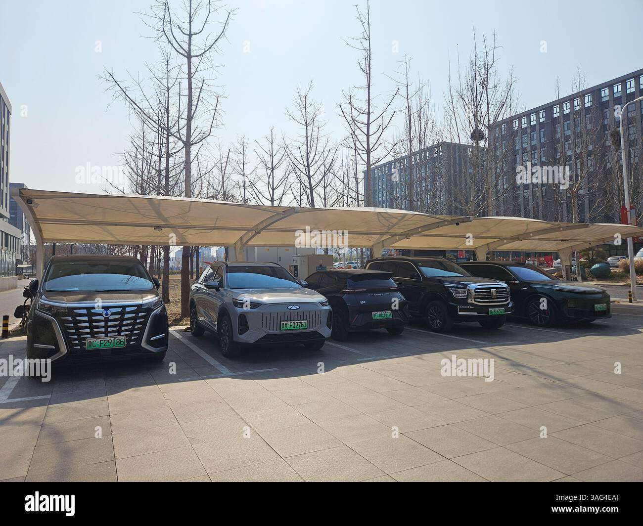 Elektrofahrzeuge von BYD, Chery, Chinesische Mauer und Li Auto Charging an der Modern Station in China Stockfoto