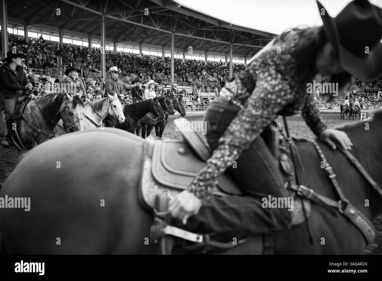 16. September 2011 – Pendleton, Oregon, USA – Ein Cowgirl passt ihren Bügel an, während sie sich auf eines der schnellsten Rodeo-Events vorbereitet: Das Barrel Racing. Frauen laufen durch die gesamte Arena in voller gallup und bilden eine Kleeblatt-Form um das Fass auf dem Rodeofloor. (Bild: © Eric Kruszewski/zReportage.com/ZUMA) Stockfoto