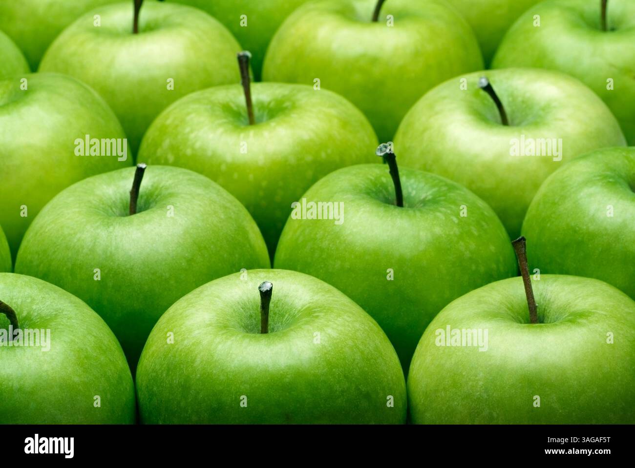 Granny Smith Äpfel, Nahaufnahme Stockfoto