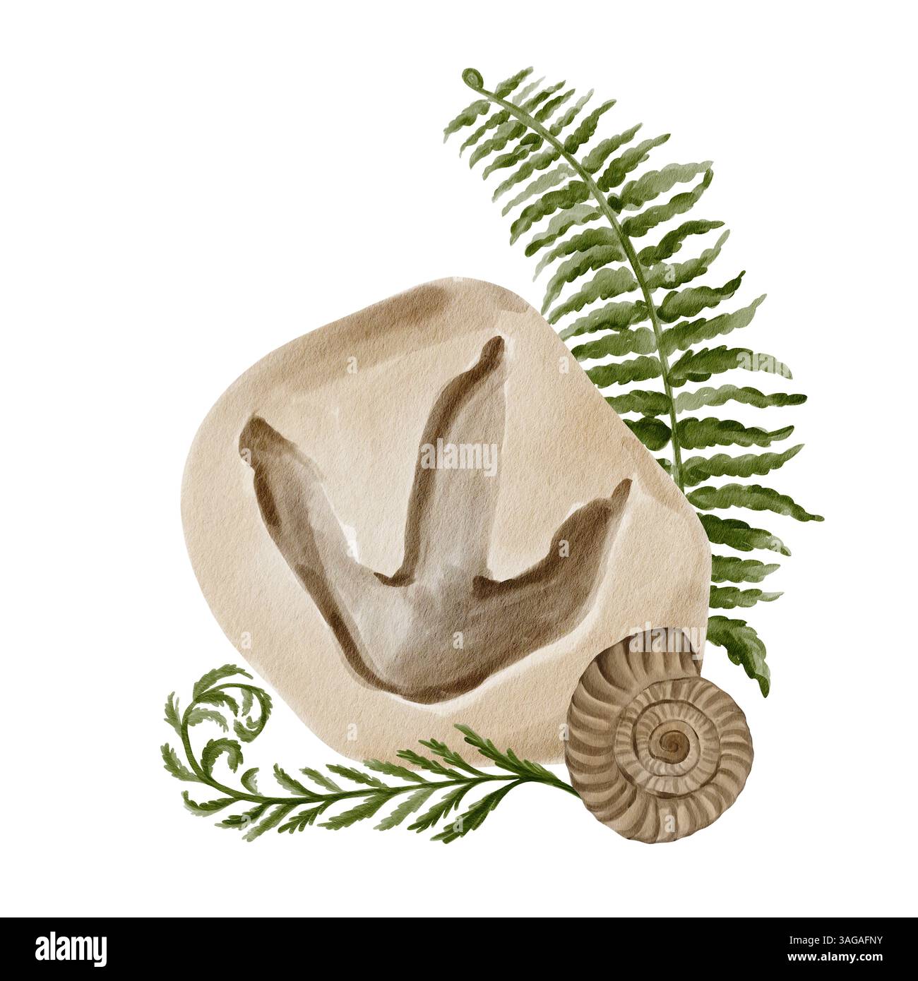 Dinosaurier-Fußabdruck auf Stein. Farnblätter und Ammoniit. Die Zusammensetzung der mit Pflanzen verzierten Steine. Prähistorisches Fossil der Jura-Ära. Museum of Stockfoto Dinosaurier-Fußabdruck auf Stein. Farnblätter und Ammoniit. Die Zusammensetzung der mit Pflanzen verzierten Steine. Prähistorisches Fossil der Jura-Ära. Museum of Stockfoto