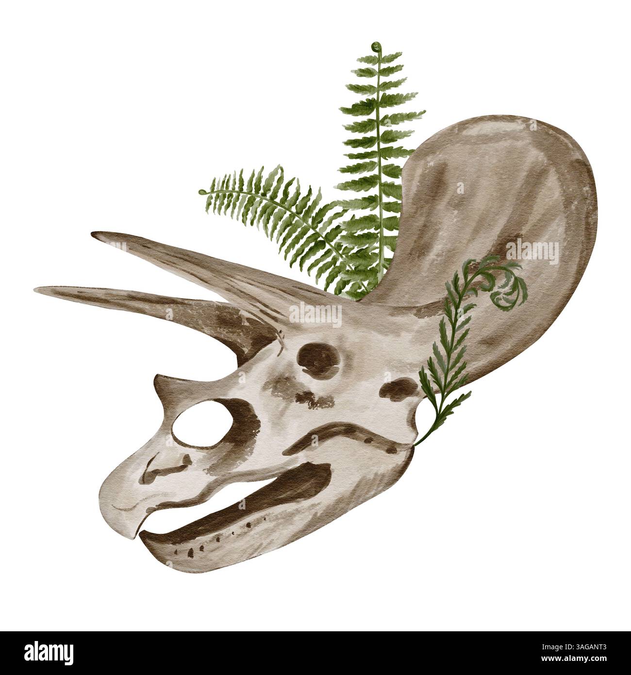 Traceratops Dinosaurierschädel. Farn wächst im Skelett. Altes Fossil. Knochen und Pflanzen. Aquarellabbildung ohne Hintergrund. Handzeichnung. Stockfoto