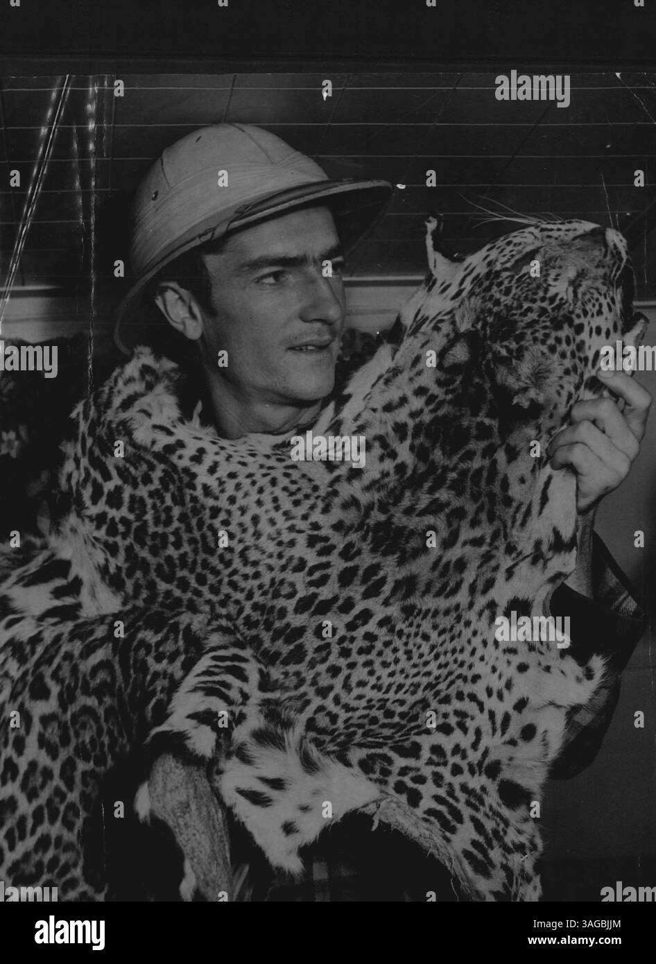 Stafford Bullen, 24, Zirkusdarsteller im Zirkus seines Vaters, Bullen Bros., schlief am Dienstagmorgen. Wir haben ihn in einem blau-grauen karierten Morgenmantel über seinem grün-weiß gestreiften Schlafanzug interviewt. Mr. Bullen hat nach Siam geschickt, um etwa 40 Leopardenfelle für die hinteren und vorderen Sitze seiner neuen Humber Pullman Limousine für 2300 Pfund zu holen, sagte Mr. Bullen. Mai 1949. Stockfoto