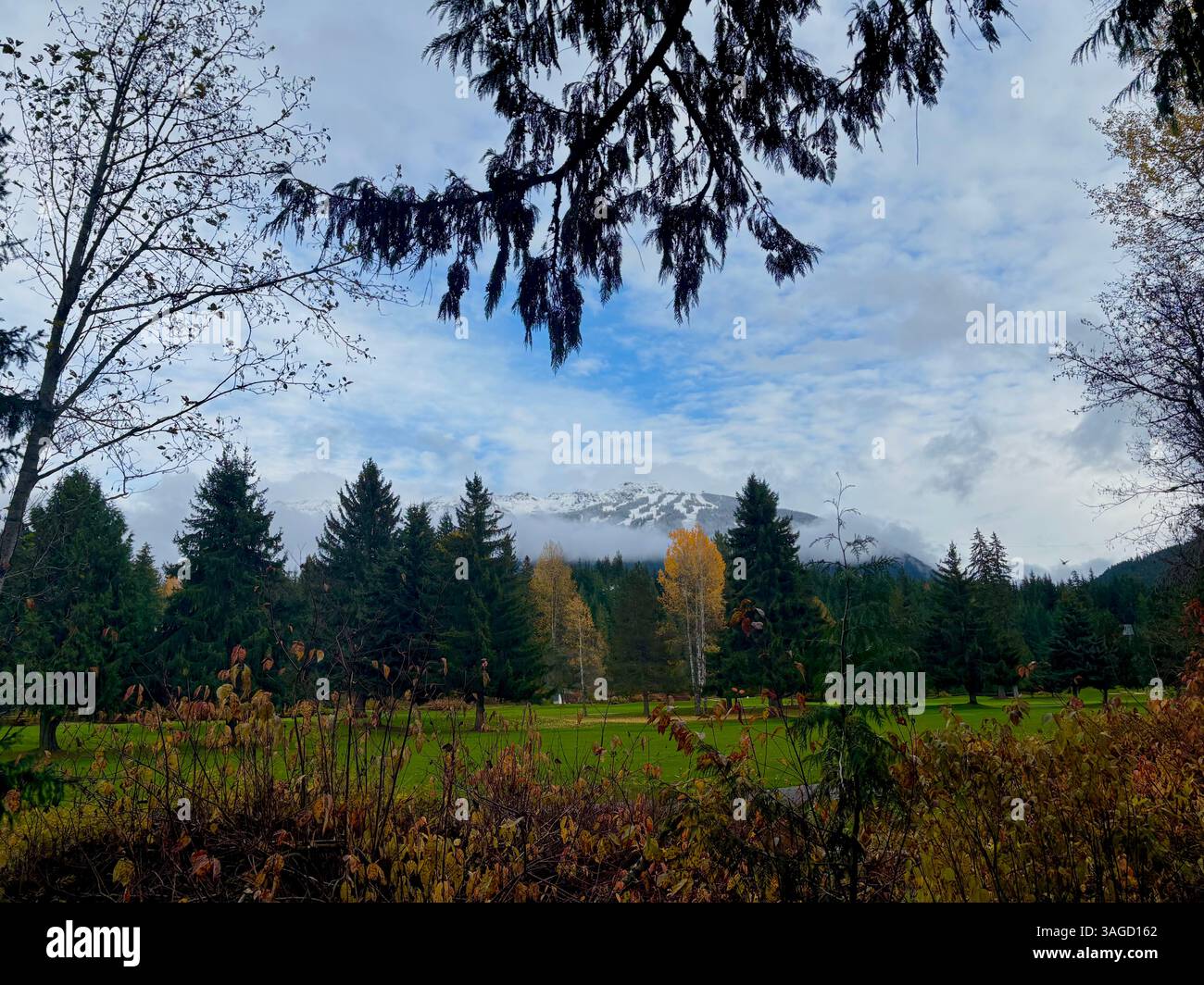 Bergblick Durch Waldlichtung - Smartphone-aufgenommenes Stockfoto