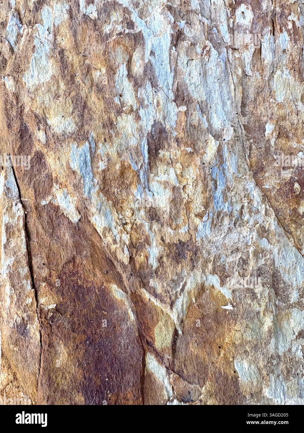 Nahaufnahme der verwitterten Gesteinsoberfläche - Smartphone-aufgenommenes Stockfoto