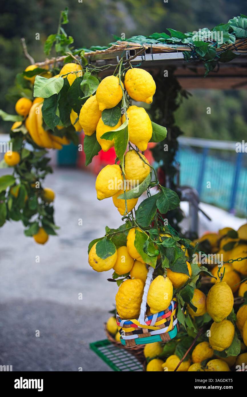 Nahansicht eines Zitronenstrands am Stand eines Straßenverkäufers, Amalfi, Campania, Italien Stockfoto