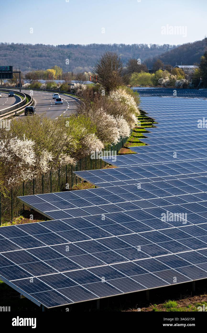 Großer Photovoltaik-Solarpark neben der Autobahn Stockfoto