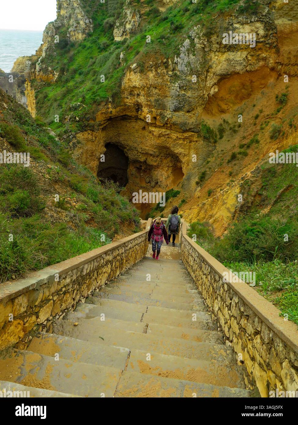 Portugal, Algarve, Lagos, Ponta da Piedade, Park, Klippen Leuchtturm, Wanderwege, Naturpfade, Blumen, einheimische Blumen an der Südostküste, Wanderwege, Wanderwege, cr Stockfoto