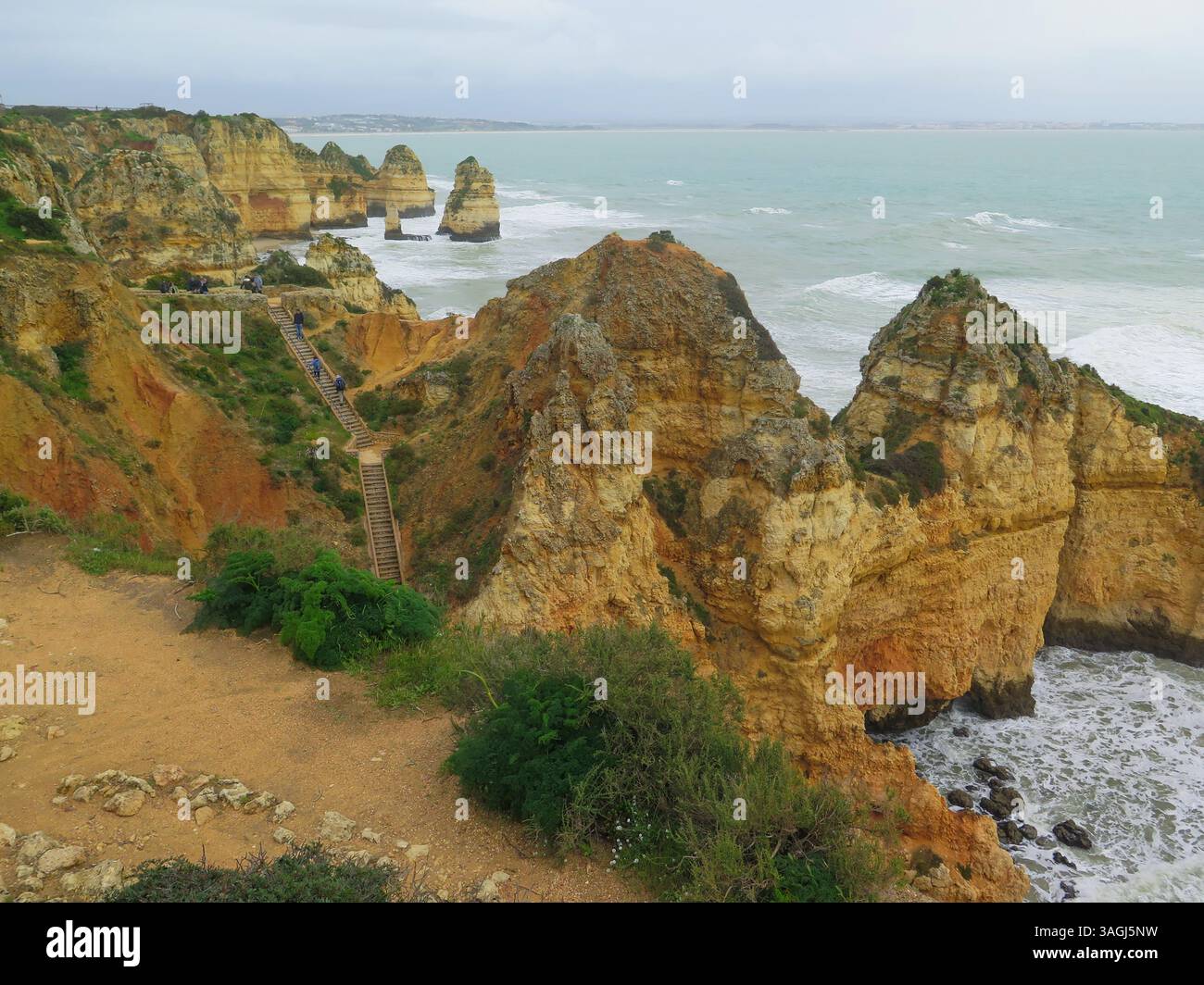 Portugal, Algarve, Lagos, Ponta da Piedade, Park, Klippen Leuchtturm, Wanderwege, Naturpfade, Blumen, einheimische Blumen an der Südostküste, Wanderwege, Wanderwege, cr Stockfoto
