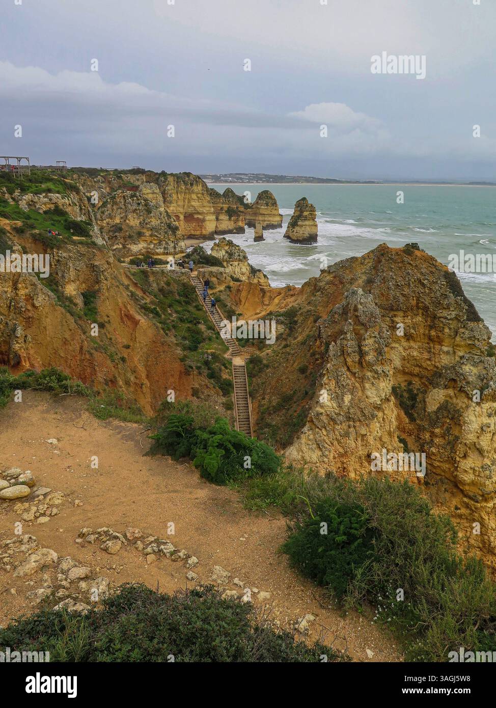 Portugal, Algarve, Lagos, Ponta da Piedade, Park, Klippen Leuchtturm, Wanderwege, Naturpfade, Blumen, einheimische Blumen an der Südostküste, Wanderwege, Wanderwege, cr Stockfoto