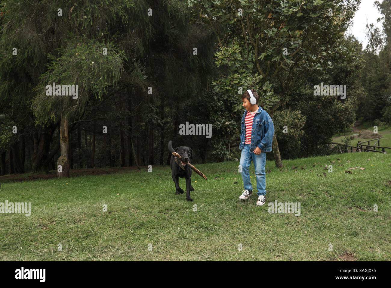 Schwarzer Hund mit Stock, der auf den Happy Boy läuft, der Kopfhörer trägt und im Park läuft Stockfoto