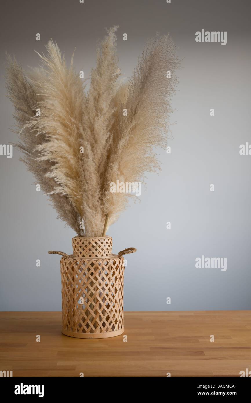 Pampas-Gras in gewebter Vase auf Holztisch - minimalistische Einrichtung Stockfoto