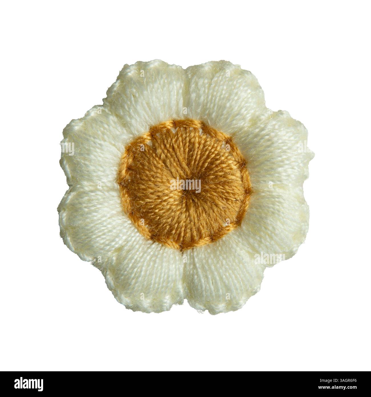 Gänseblümchenstickerei für Kleidungsdekoration auf weißem Hintergrund mit Beschneidungspfad Stockfoto