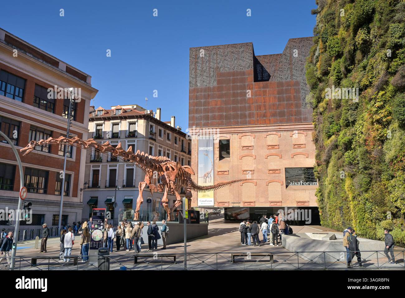CaixaForum, Dinosaurier Skelett, Patagotitan Mayorum, Paseo del Prado, Madrid, Spanien Stockfoto