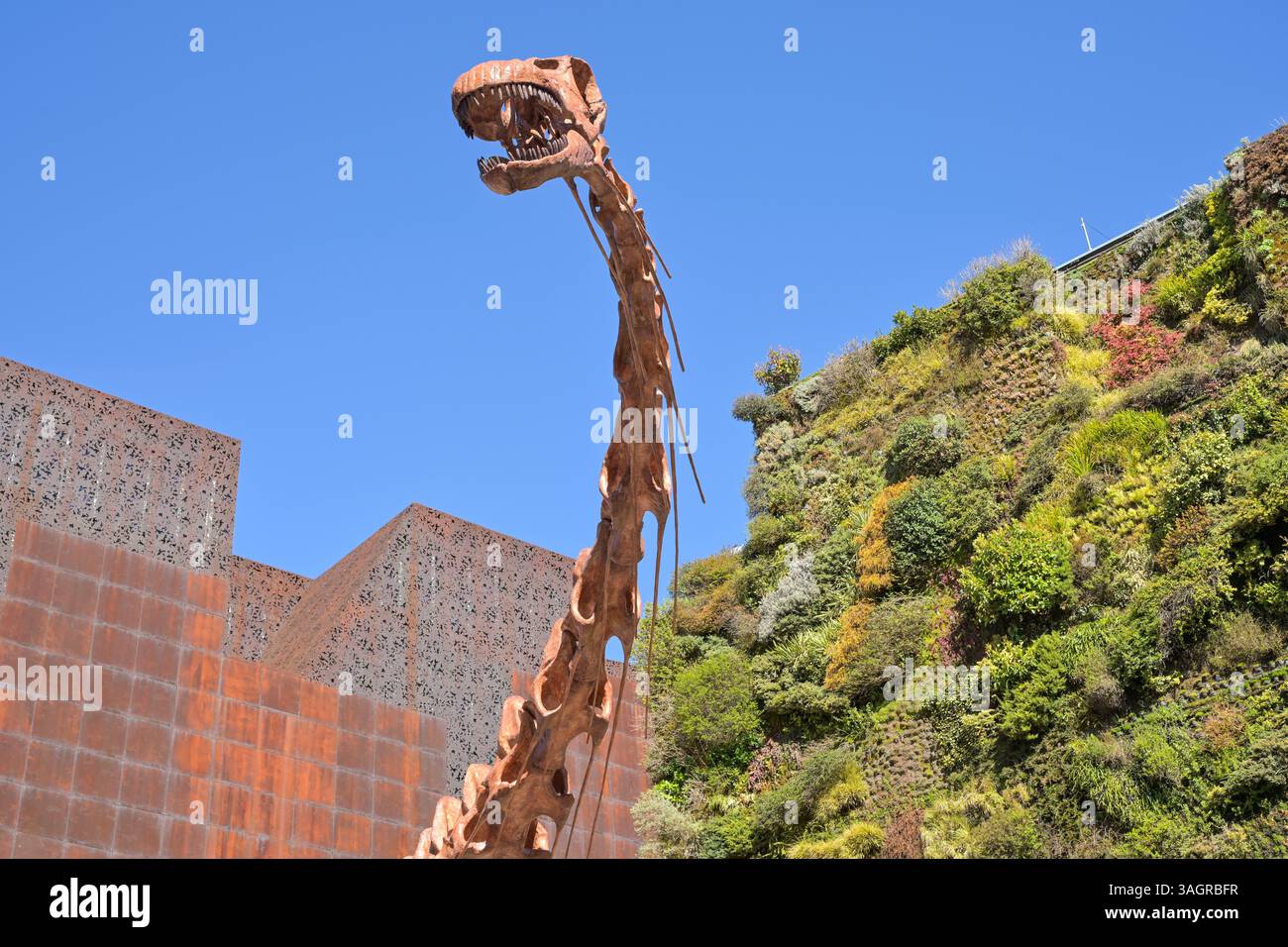 CaixaForum, Dinosaurier Skelett, Patagotitan Mayorum, Paseo del Prado, Madrid, Spanien Stockfoto