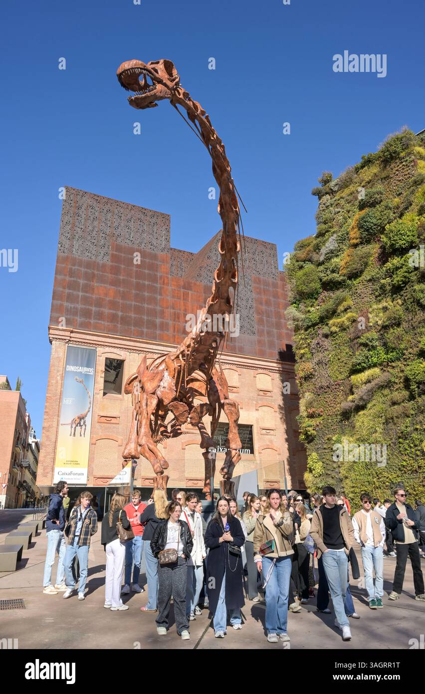CaixaForum, Dinosaurier Skelett, Patagotitan Mayorum, Paseo del Prado, Madrid, Spanien Stockfoto
