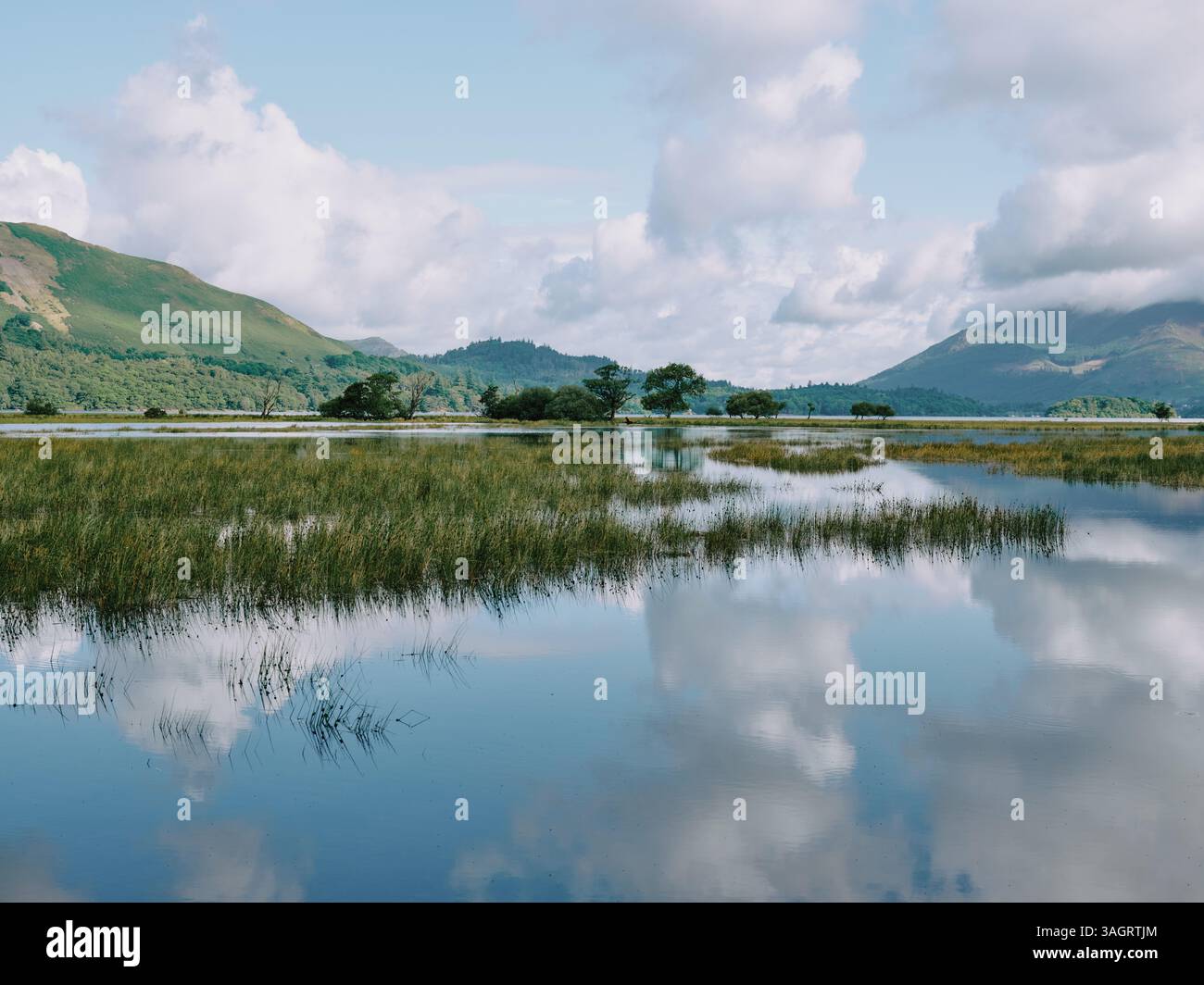 Das überflutete Derwentwater / Derwent Water in Borrowdale im Lake District National Park, Cumbria, England Großbritannien - Sommerlandschaft Stockfoto