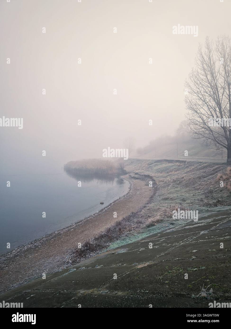 Dicker Nebel am Wintermorgen in der Nähe des Sees - Smartphone-aufgenommenes Stockfoto