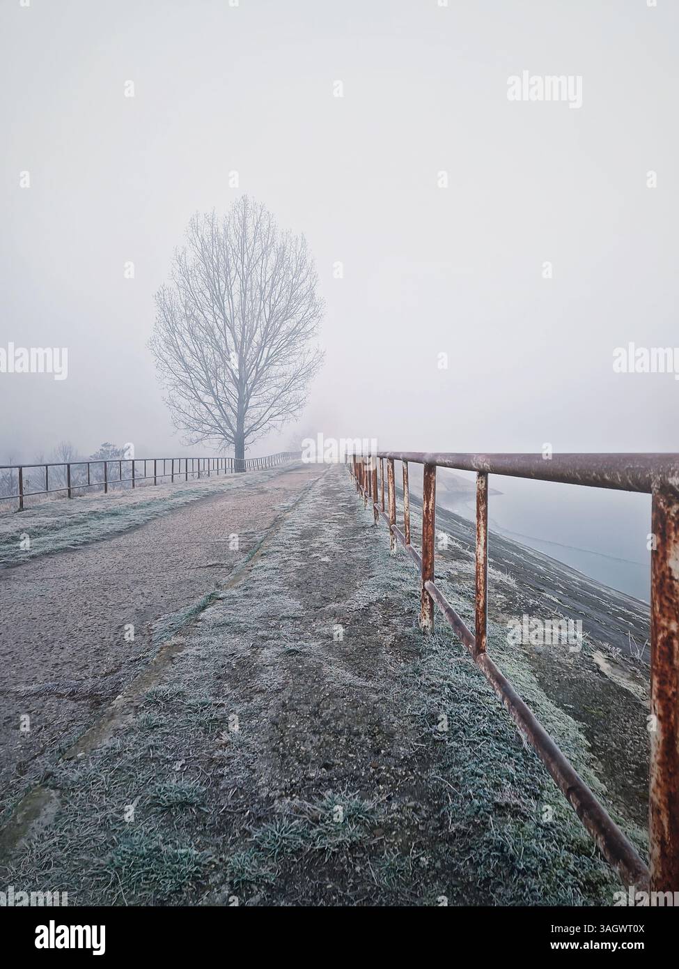 Dichter Nebel am Wintermorgen auf dem Fußgängerdamm in der Nähe des Sees - Smartphone-aufgenommenes Stockfoto