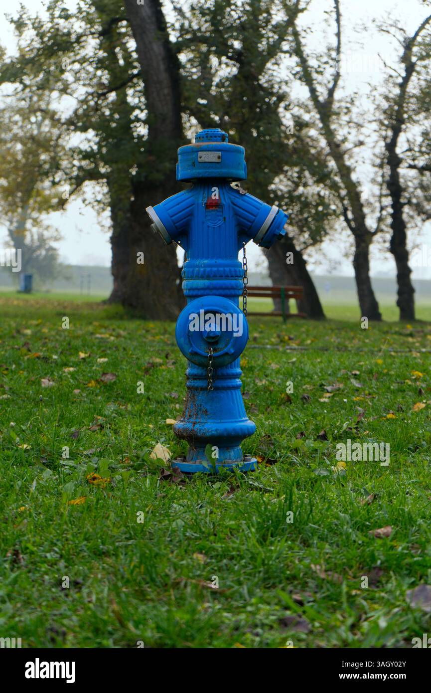 Auf einem grasbewachsenen Parkgelände steht ein blauer Hydrant. Stockfoto
