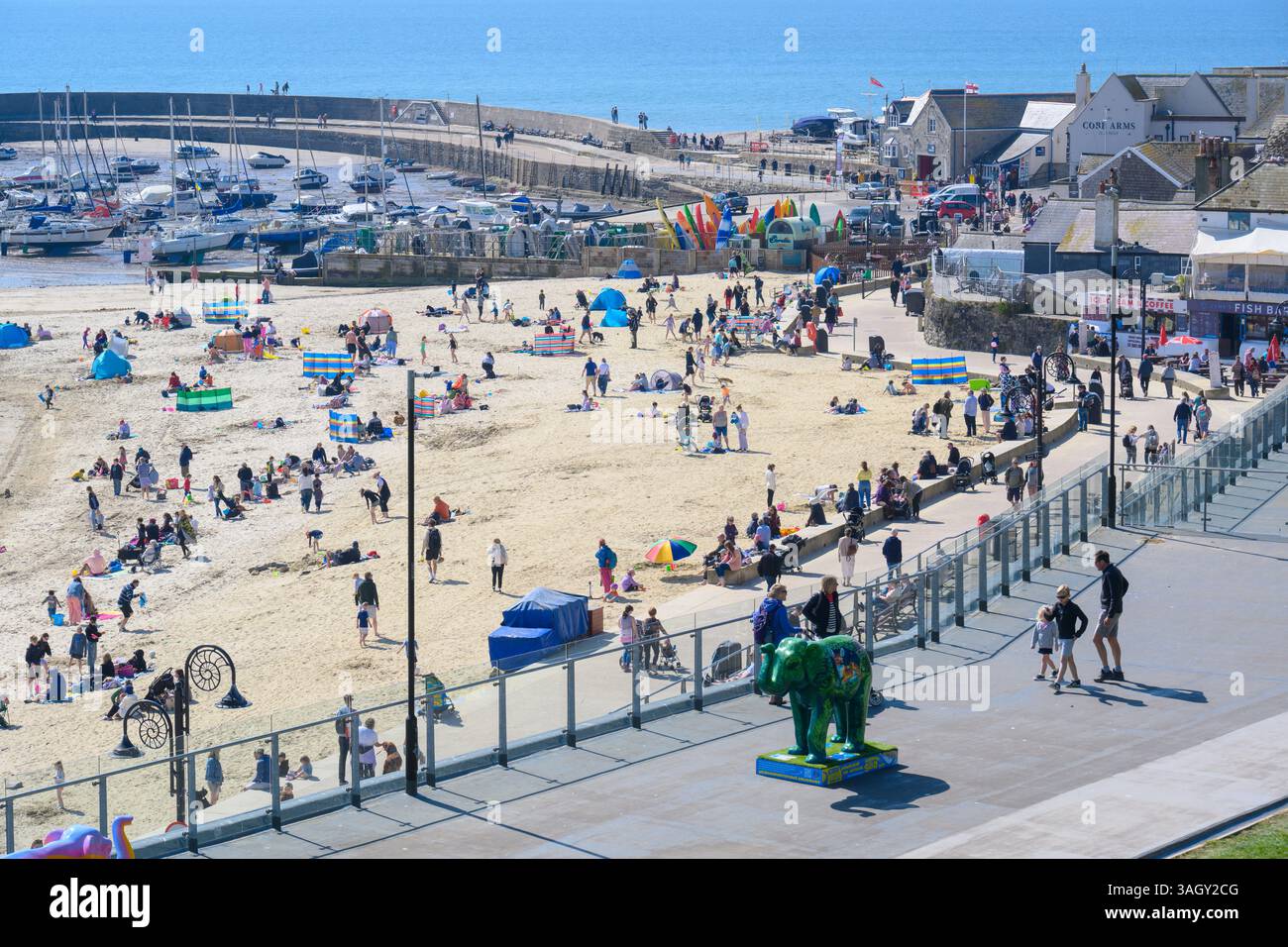 Lyme Regis, Dorset, Großbritannien. April 2025. Wetter in Großbritannien: Besucher und Einheimische genießen warme Sonne im Badeort Lyme Regis, während Großbritannien einen weiteren warmen und sonnigen Tag während der Schulferien genießt. Quelle: Celia McMahon/Alamy Live News Stockfoto