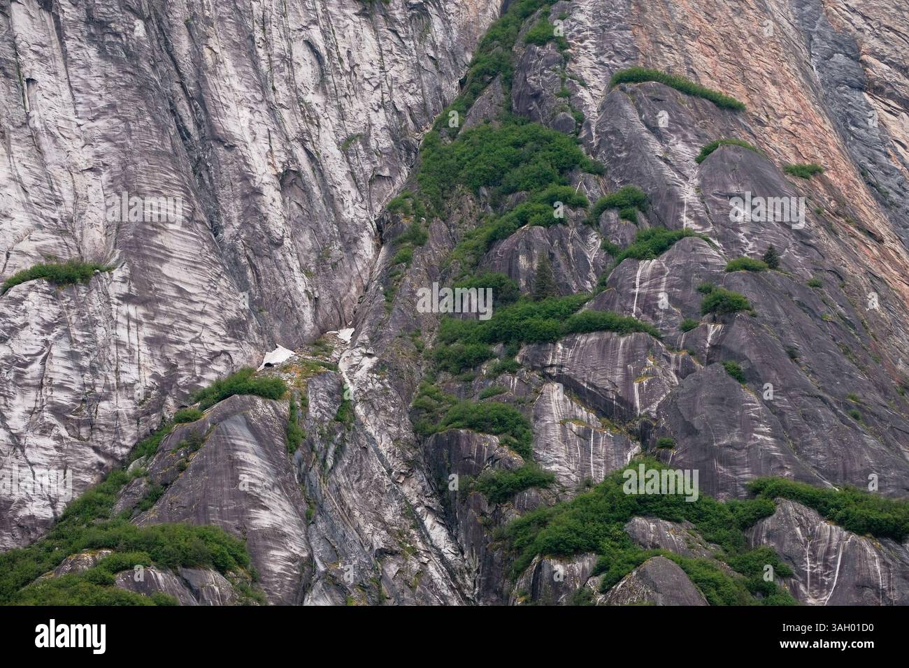 Schroffe Felsklippen und üppiges Wachstum im Alaska-Enicott Arm Stockfoto