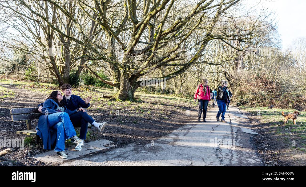 Ein junges Paar sitzt auf einer Bank Hampstead Heath London UK Stockfoto