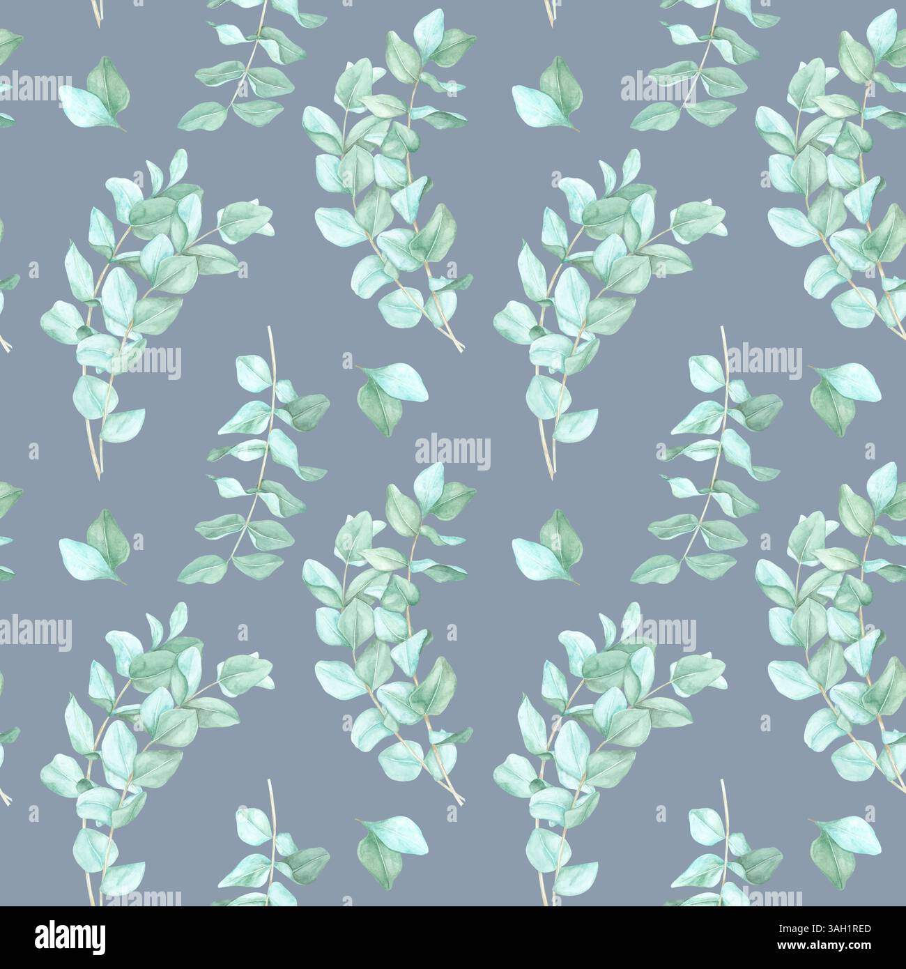 Eukalyptusblätter in sanften blau-grünen Tönen vor staubblauem Hintergrund. Dieses nahtlose Aquarellmuster eignet sich für Innenarchitektur-Projekte, Stoffdruck und Websites mit botanischem Thema Stockfoto