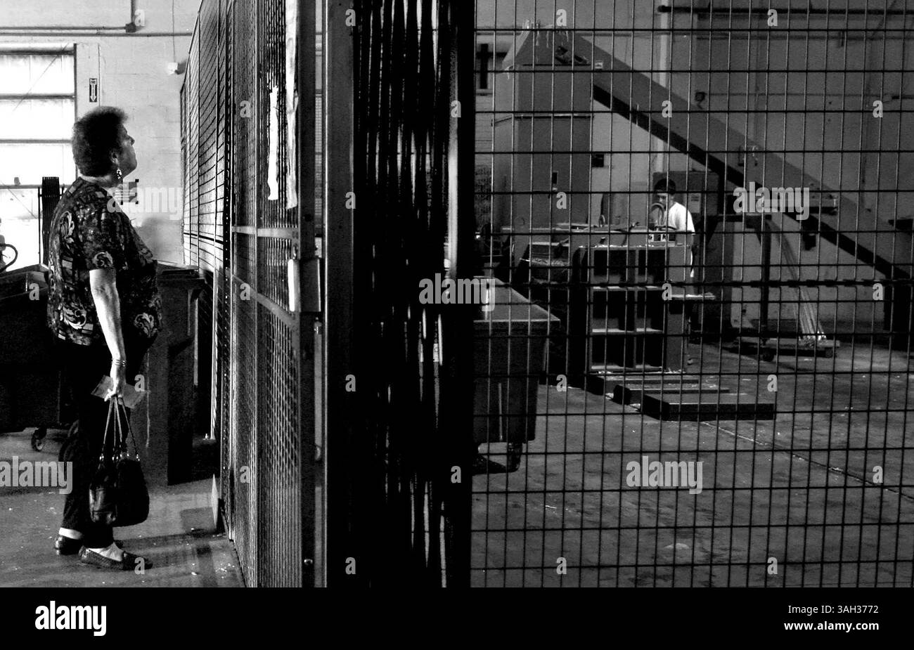 CHERIE DIEZ | Times. SP 313994 DIEZ Shred 1 von 1 (10/28/2009 St. PETERSBURG) Madeline Kooper, 57, (cq) aus St. Petersburg beobachtet ihre Papiere - einige stammen aus dem Jahr 1975 und nehmen Platz in ihrem Dachboden, in der Garage und in den Schränken ein - während des kostenlosen Community ''Shred Day'' im Louise Graham Regeneration Center, einer gemeinnützigen Organisation, die entwicklungsbehinderte Erwachsene durch Recycling und Verkauf von Papierprodukten beschäftigt. Die Veranstaltung kam der St. Petersburg Free Clinic Food Bank zugute. Die übliche 10-Cent-pro-Pfund-Gebühr für die Bewohner, die mit ihnen gehen Stockfoto