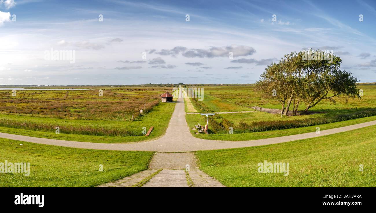 Radweg durch grüne Wiesen und Feuchtgebiete bei Tüskendör See im Nationalpark Niedersächsisches Wattenmeer auf der Ostfriesischen Insel Borkum Stockfoto