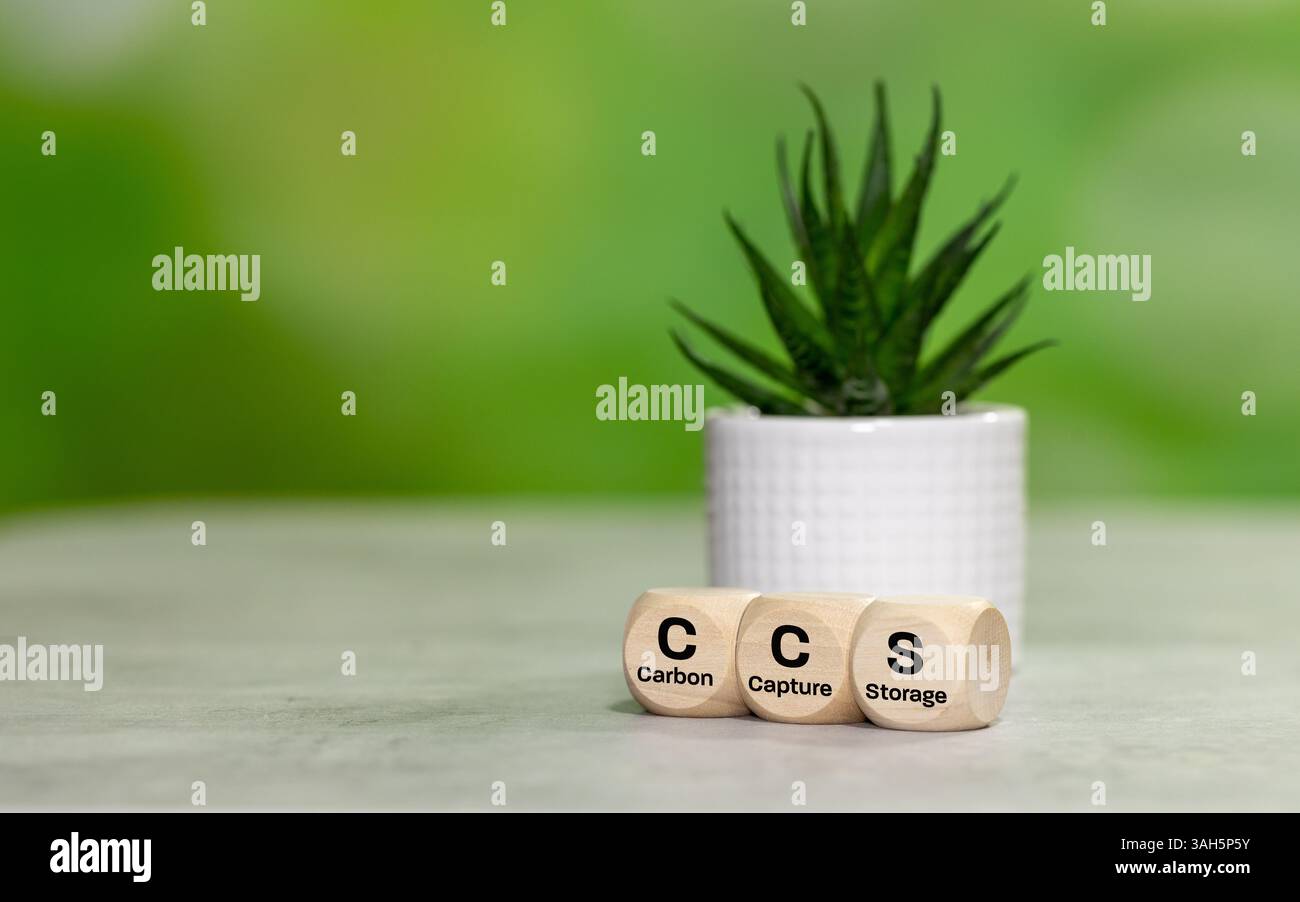Holzwürfel bilden das Symbol CCS (Carbon Capture Storage) Environmental Business Concept, Net Zero Action, Save Energy, Green Energy, Reduce Carbon Fo Stockfoto