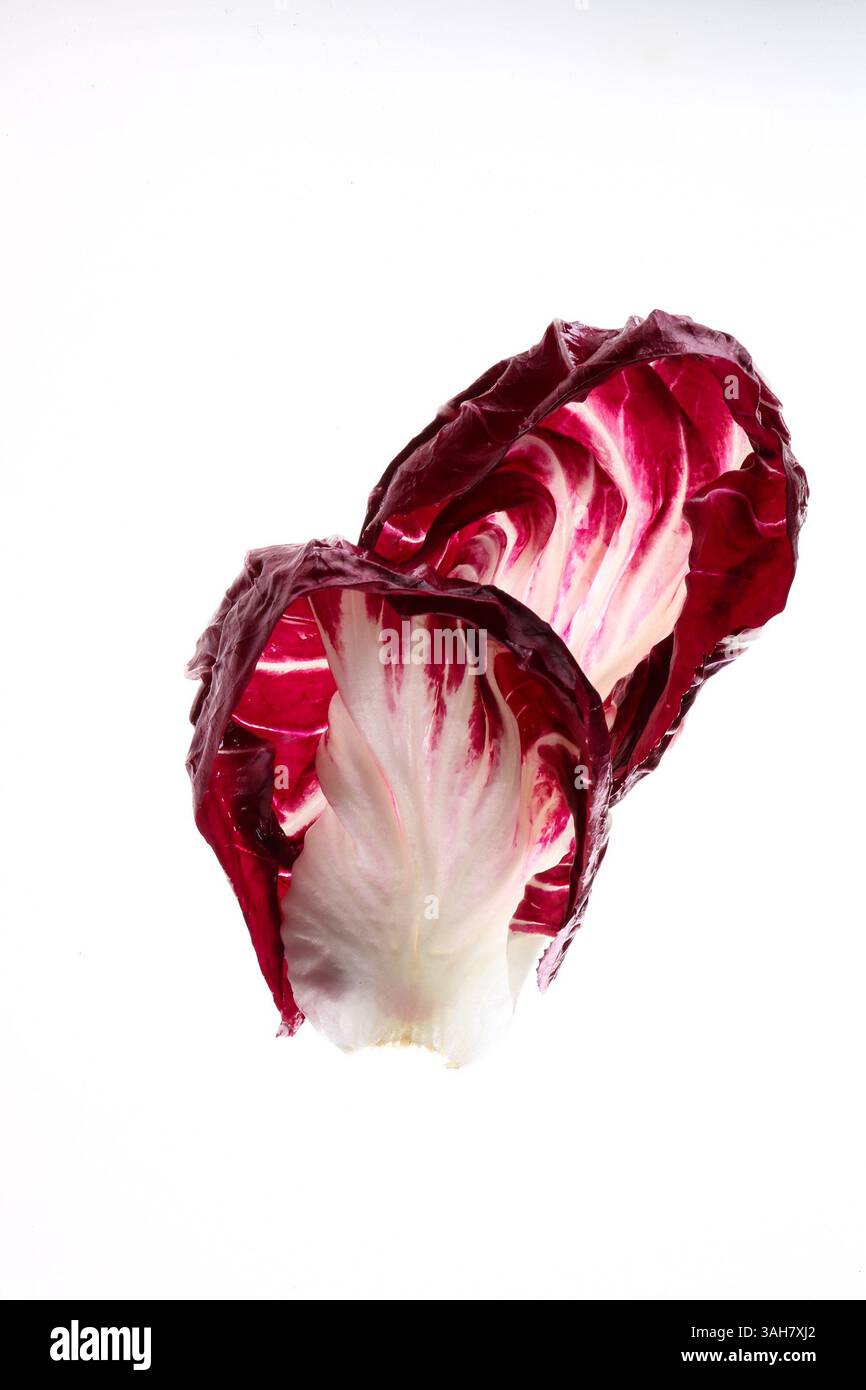 Mai 2015 – Chicago, IL, USA – bittere Lebensmittel wie Radicchio können gelernt und geliebt werden. (Food Styling von Corrine Kozlak) (Bild: © Zbigniew Bzdak/TNS/ZUMA Wire) Stockfoto