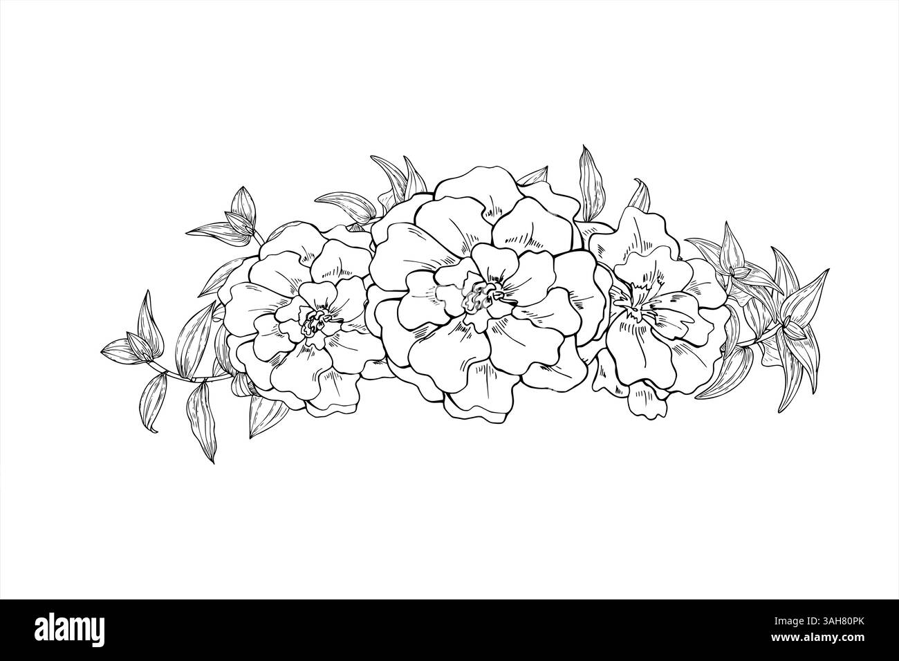 Einfarbige Ringelblumen mit tradescantia Blätter Vektorillustration gemalt von schwarzen Tinten. Blühende tagetes, Blumenkopf-Vorlage für Kranz Stock Vektor