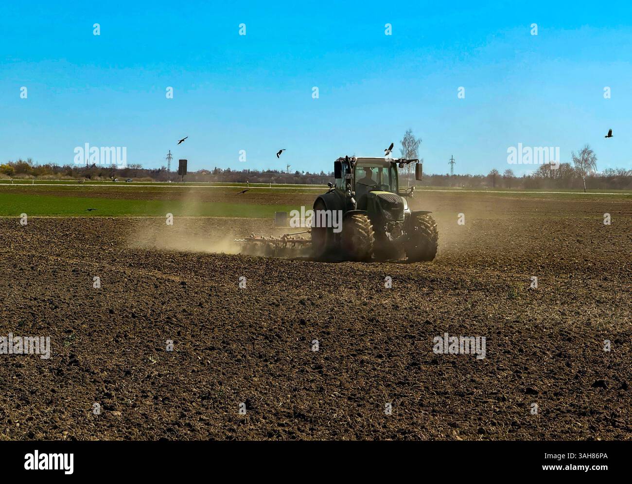 09.04.2025, Landwirt auf seinem Feld bei Bad Wörishofen im Unterallgäu, der Boden ist trocken, es staubt bei der Überfahrt mit dem Grubber. 09.04.2025, Landwirtschaft 09.04.2025, Landwirtschaft *** 09 04 2025, Landwirt auf seinem Feld bei Bad Wörishofen im Unterallgäu, der Boden ist trocken, er ist staubig beim Überfahren mit dem Kultivator 09 04 2025, Landwirtschaft 09 04 2025, Landwirtschaft Stockfoto