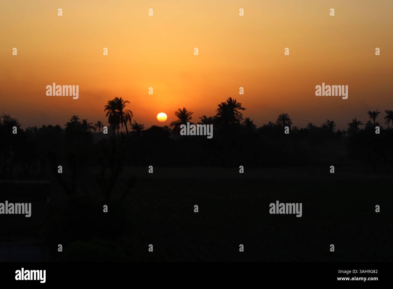 Wunderschöner Sonnenuntergang über der landwirtschaftlichen Region Punjab, Pakistan Stockfoto