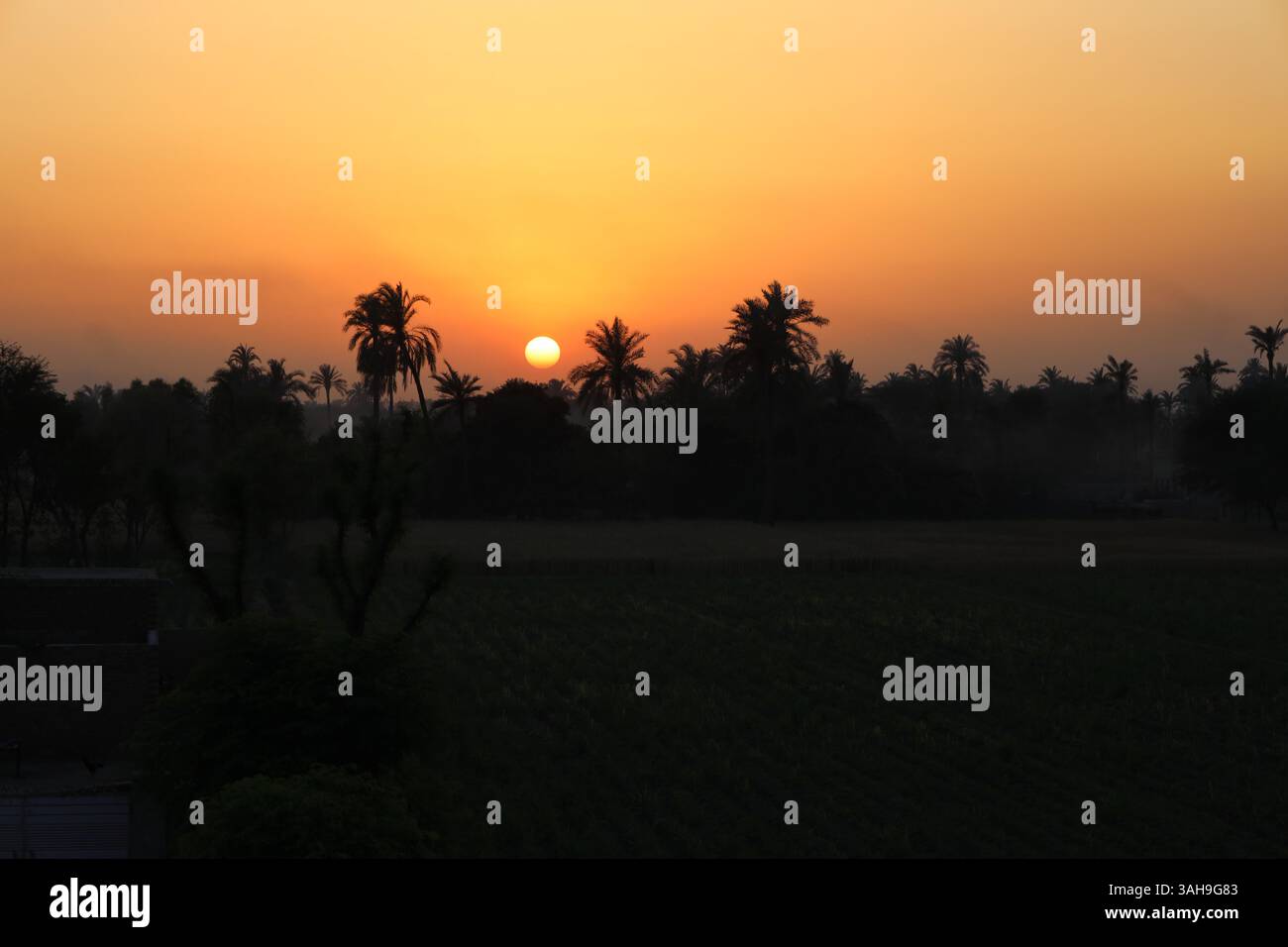 Wunderschöner Sonnenuntergang über der landwirtschaftlichen Region Punjab, Pakistan Stockfoto