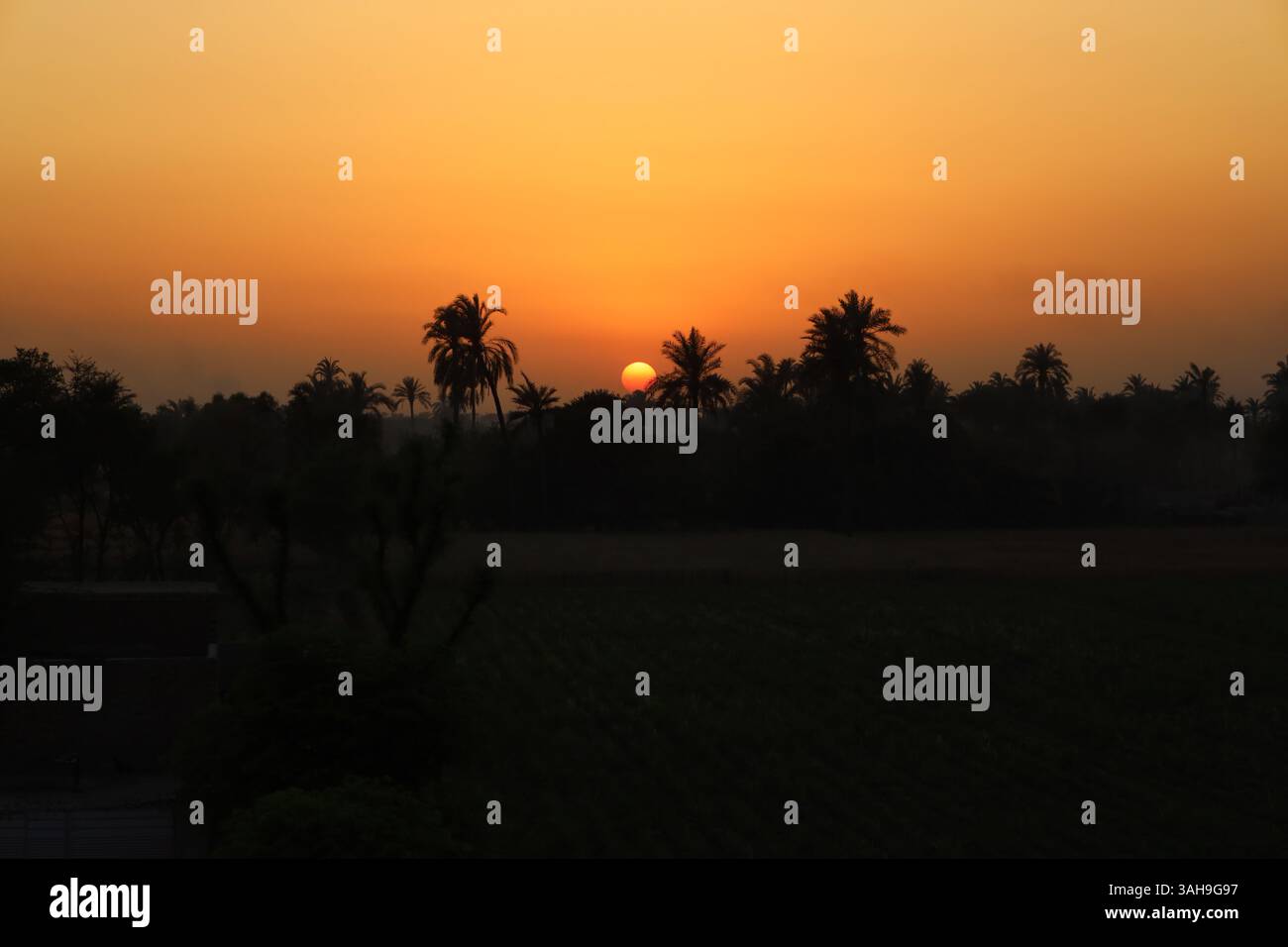 Wunderschöner Sonnenuntergang über der landwirtschaftlichen Region Punjab, Pakistan Stockfoto