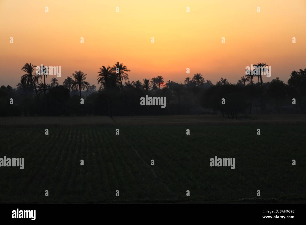 Wunderschöner Sonnenuntergang über der landwirtschaftlichen Region Punjab, Pakistan Stockfoto