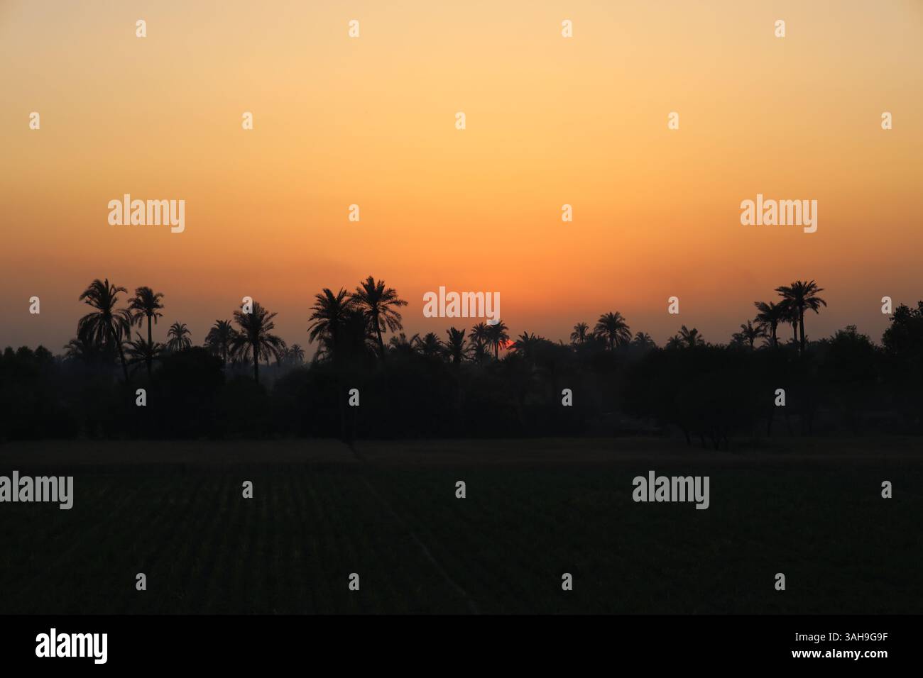 Wunderschöner Sonnenuntergang über der landwirtschaftlichen Region Punjab, Pakistan Stockfoto